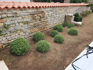 Photo n°9 de Nathéo Paysagiste à Saint-Jean-de-Sauves (Jardinier)