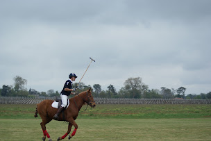 Photo n°11 de MEDOC POLO CLUB à Vendays-Montalivet (Centre équestre)
