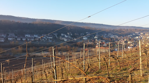 Evangelisches Jugendfreizeitheim Zaberfeld - Thumbnail