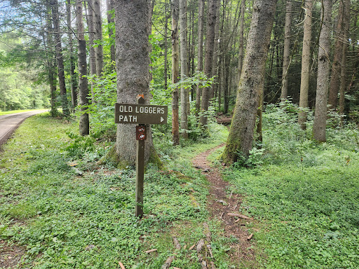 Old Loggers Path - Visual