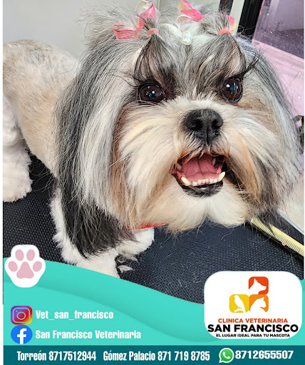 Veterinaria San Francisco