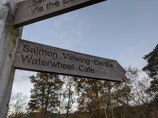 Philiphaugh Salmon Viewing Centre & Golden Eagle Eyrie Gallery - United Kingdom