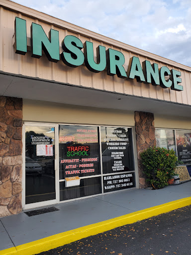 Escurra Insurance Underwriters - Thumbnail
