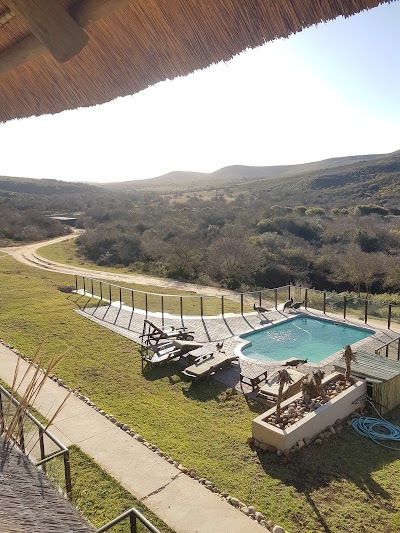 Photos of Nyaru Game Lodge