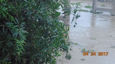 Photos of Durgapur rabat dam mosjid