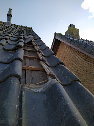 Dakmeester Nederland - Thumbnail