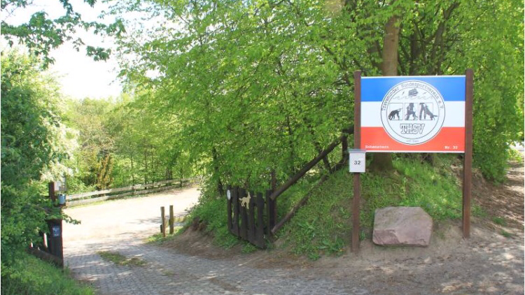 THSV Travemünde e.V. photo