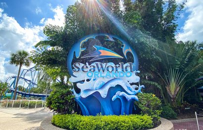 Magical Enchanted Vacations with Renee Edwards - Thumbnail