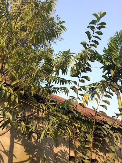 Photos of Rakhaliachala