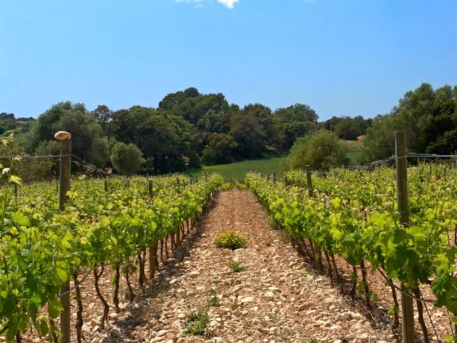 Bodegas OM Oliver Moragues
