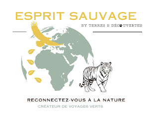 Photo n°15 de Voyage sauvage by Terres 2 Découvertes à Rocbaron (Voyagiste)