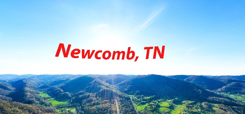 Newcomb - Image 4