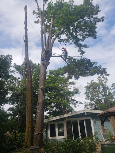 Lumber Maks NW Tree Service