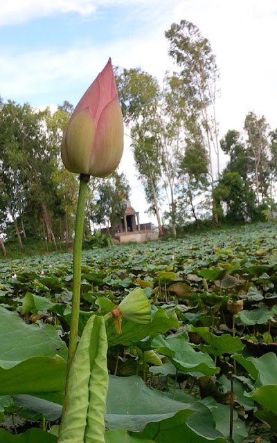 Photos of Wat Sla Kaet
