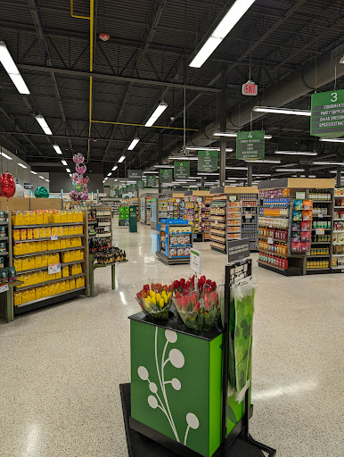 Publix Super Market at Planters Pointe Shopping Center - Thumbnail