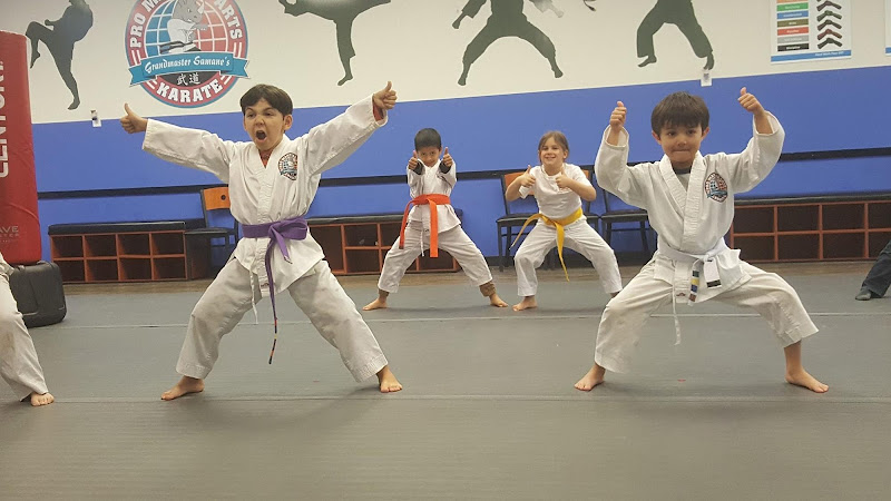 Mind Body Sports Summer Camp Norcross Peachtree Corners - mixed martial arts in Norcross, Georgia