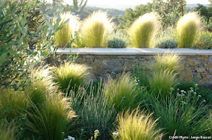 Photo n°12 de Art'n'Green à Fayence (Paysagiste)