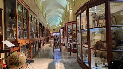 Photos of University of Parma