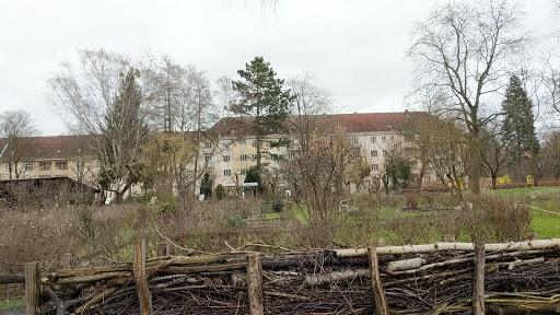 Die Schul-Imker gGmbH - Thumbnail