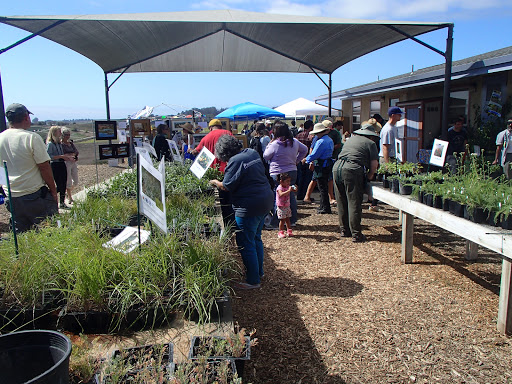 Watsonville Wetlands Watch Gallery - United States