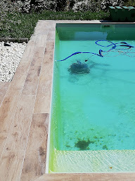 Photo n°23 de Chris Multi-Services à Ventabren (Entreprise de construction)