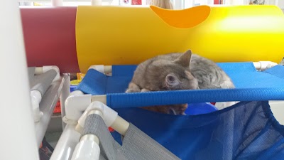 Photos of Friends of Felines' Rescue Center
