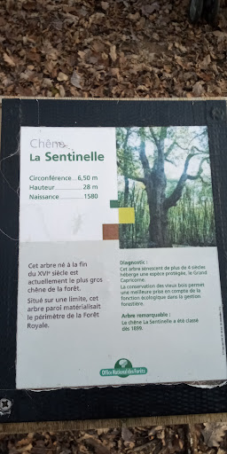 La Sentinelle - Thumbnail
