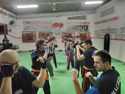 Impacto Artes Marciais