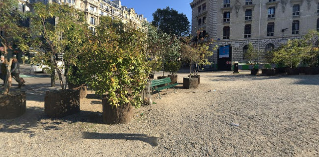 Avis sur Carrément Fleurs à Paris - Fleuriste