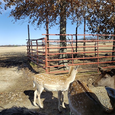 Tennessee Safari Park