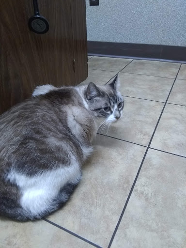 Cimarron Animal Hospital - Thumbnail