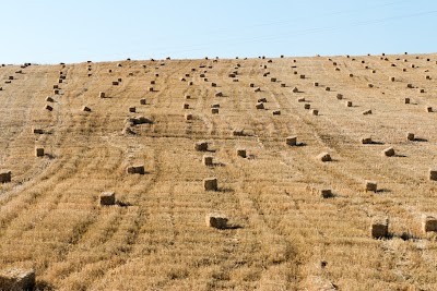 Photos of caf&eacute; el ouali
