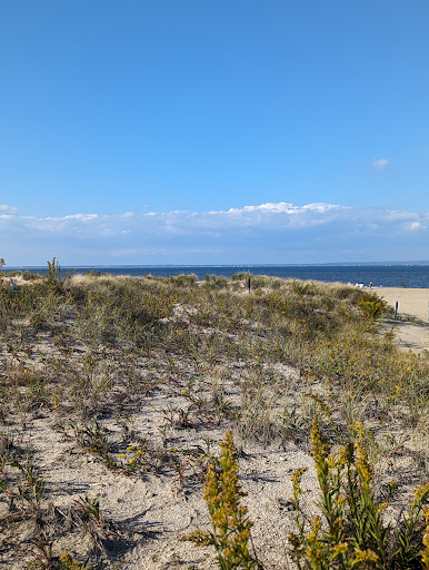 Bayshore Waterfront Park - Thumbnail