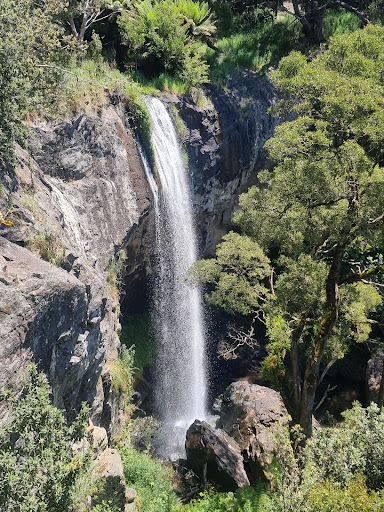 Delaneys Falls - Visual
