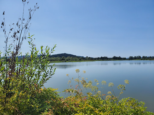 Fernhill Wetlands - Thumbnail