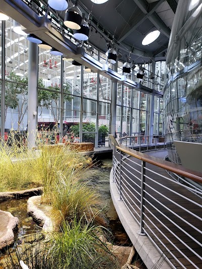 Osher Rainforest at the California Academy of Sciences