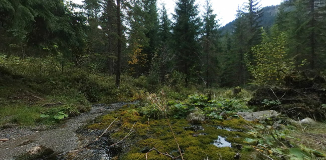 Javorová dolina Otváracie hodiny