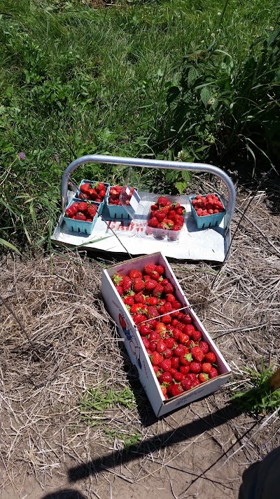 Photos of Garwood Orchards