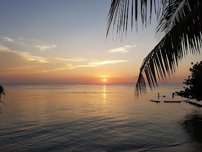 Photos of Enjoy Roatan Honduras Tours - Snorkeling - Boat Tours - Sport Fishing