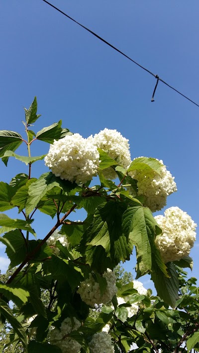 Photos of 뫼골공원