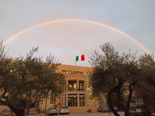 Dipartimento di Scienze Agrarie, Alimenti, Risorse Naturali e Ingegneria (DAFNE) - Università di Foggia