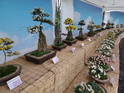 Photos of Dreampark 드림파크