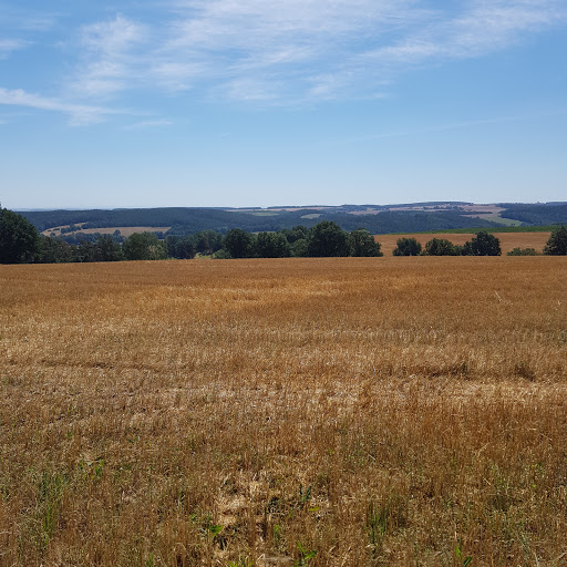 Käseschenke - Visual