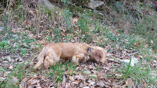 Monte Cornua - Visual