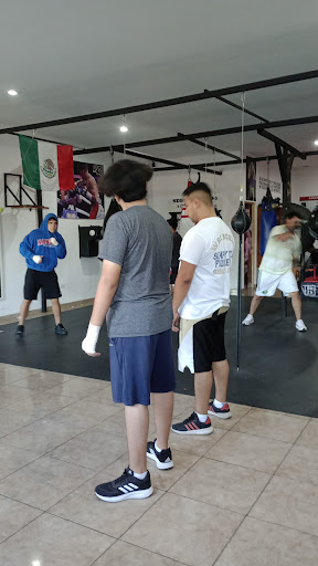 Locos por el box Gallery - Mexico