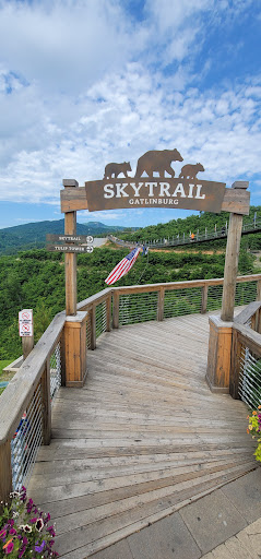 Skybridge - Visual