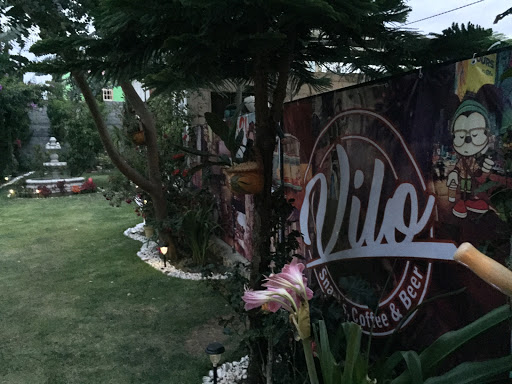VILO - Thumbnail