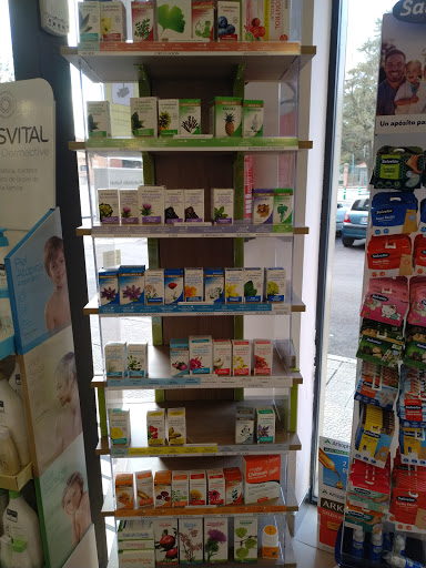 FARMACIA BEATRIZ DE LA FUENTE MARCOS - Thumbnail