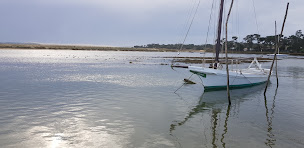 Photo n°61 de La Cabane du Mimbeau à Lège-Cap-Ferret (Restaurant de fruits de mer)