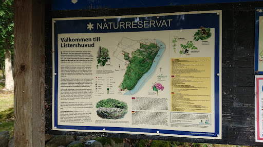 Listershuvud - Thumbnail